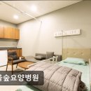 서울숲요양병원 이미지