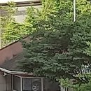 드림미디어 이미지