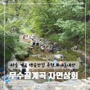 자연상회 | 서울계곡 물놀이 백숙식당 무수골계곡 내돈내산 자연상회 : 가격, 주차, 후기