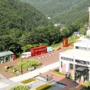 국민안심 죽변항 | 국내 가족여행지 추천 TOP3