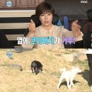 박세리 &#39;나혼산&#39; 천둥이 목줄 해명 &#34;천둥이도 마당에 풀어놨다&#34; 이미지