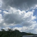 6 | 6살 아이랑 키즈 캠핑 충북 괴산 따봄스테이 둘째 날 후기(어린이날 행사)
