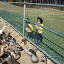 이플어린이집 이미지