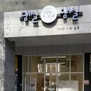 댕실댕실 | 첨단 애견 미용실 댕실댕실 애견 돌봄