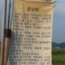 5,남도여행 (순천만국제정원박람회/순천만자연생태공원) 이미지
