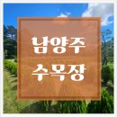 수목장 | 남양주 수목장 위치와 환경, 실제 방문 후기로 알아보는 선택 가이드