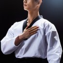 혜성태권도 이미지