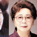 김영일 Daum카페