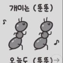 아워픽