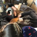 멍멍이 달린다 | 시골쮜들의 부산여행 ᕦ(ò_óˇ)ᕤ