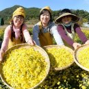 성마을농장 이미지