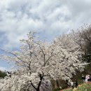 용인대우리동네태권도장 이미지