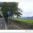 삼릉종가 티스토리