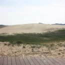 신비바이크 이미지