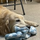 퍼피플레이스 이미지