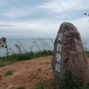 이박네농장 이미지