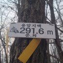 용암농장 Daum카페