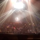 만9900원의 행복 서영은 콘서트 이미지