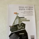 불독하우스 | 차분한 분위기에서 최고 등급의 잎차를 마시며 힐링할수 있는 동탄 능동 부부티하우스 후기