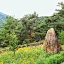 개암벌 용소 관광농원 캠핑장 이미지