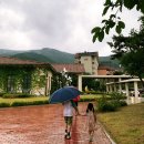 씨유 영월단종로점 | 영월 탑스텐 동강시스타 리조트 다녀왔어요 :) 바베큐까지 갓성비네요