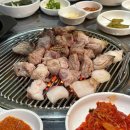 제주 한라돈