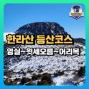 제주 물장오리오름 | 한라산 영실~윗세오름~어리목 등산코스 및 소요시간 상세 안내