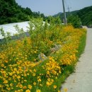석계초등학교 이미지