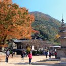 표충사1 이미지