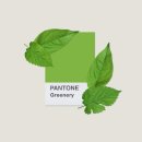 그린홈인테리어 이미지