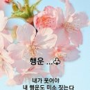 마미김밥 이미지