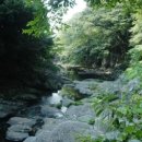 동광펜션 - 용인시 처인구 원양로 250-22 | 동광펜션