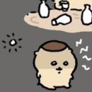 곰방와
