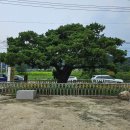 향나무촌 | 포천 아트밸리 근처 고기집 향나무촌 방문후기