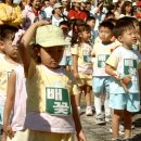 배꽃유치원 이미지