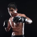 곡성-153 | 영화:전설의 주먹 감상평 줄거리 장르 관객수 줄거리