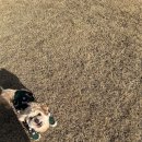 까사드만수 이미지