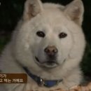 복 - 서구 대영로 37 | 복