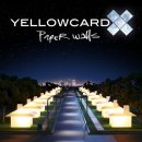 YELLOW PC 이미지