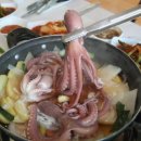 낙지가와 이미지