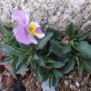 점봉농장 이미지