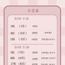 서아화실