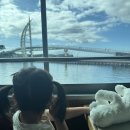 카페점보 - 서구 군분로147번길 14 | 제주 5살 아이와 가볼만한 곳 제주투어패스로 즐긴 서귀포유람선·점보빌리지·제주카페 솔직후기
