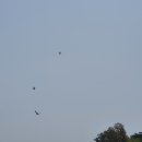 빨간바다 이미지