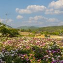 화북면보건지소 이미지