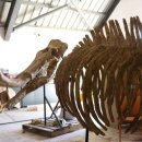 거북건설(주) 이미지