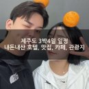 호텔더마린 | 제주도여행 3박4일 일정 후기[해비치호텔, 호텔리젠트마린더블루, 신라스테이 플러스 이호테우, 맛집...