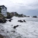 갈매기횟집 이미지