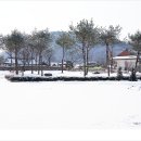 김대거 종법사 생가 이미지