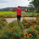 수당리경로당 이미지